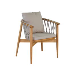 Radeon Armchair